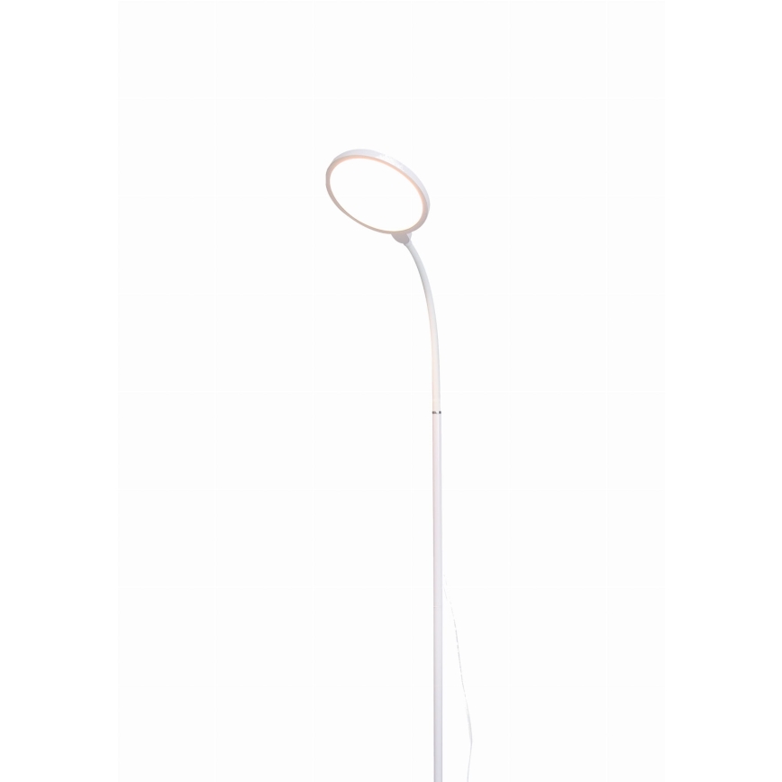 LED Dimbar golvlampa 2i1 LED/10W/230V vit