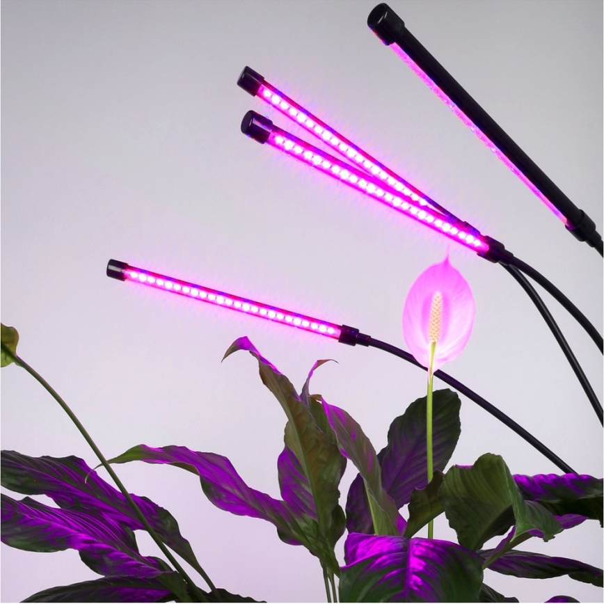 LED Ljusreglerad flexibel golvlampa för att odla växter VITARO 4xLED/7,5W/230V svart