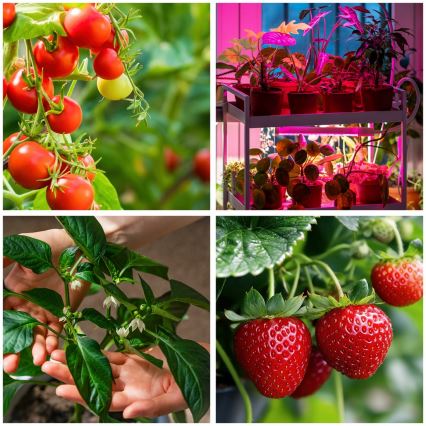 LED Ljusreglerad flexibel golvlampa för att odla växter VITARO 4xLED/7,5W/230V svart