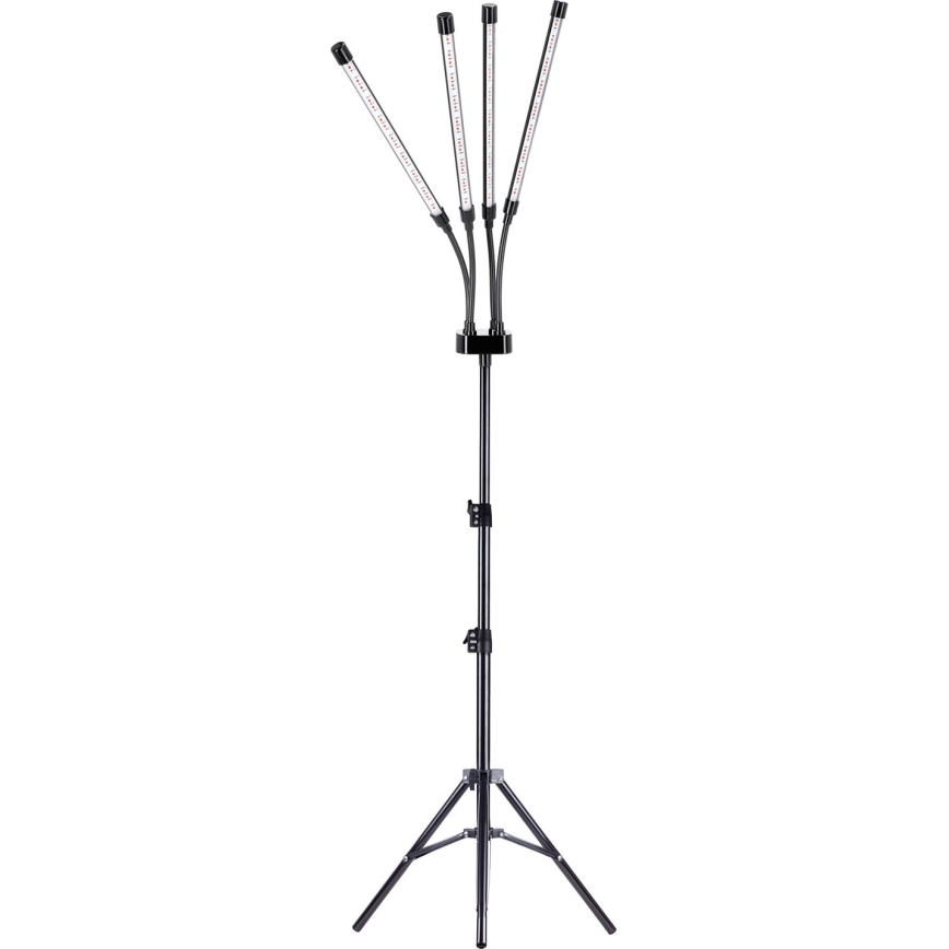 LED Ljusreglerad flexibel golvlampa för att odla växter VITARO 4xLED/7,5W/230V svart