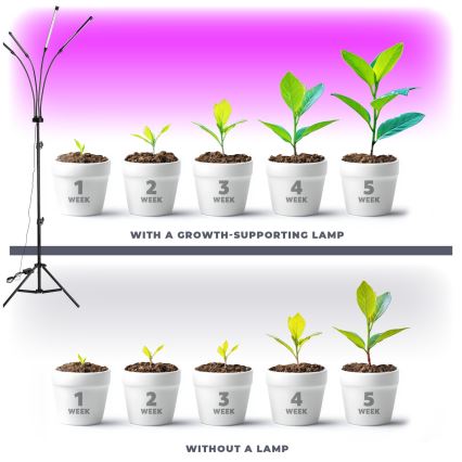 LED Ljusreglerad flexibel golvlampa för att odla växter VITARO 4xLED/7,5W/230V svart