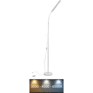 LED Dimbar golvlampa SIGNUS LED/10W/230V 3000/4500/6500K vit