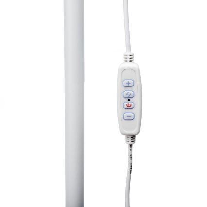 LED Dimbar golvlampa SIGNUS LED/10W/230V 3000/4500/6500K vit