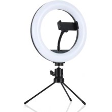 LED Dimbar lampa med stativ och mobilhållare för vlogging LED/10W/USB