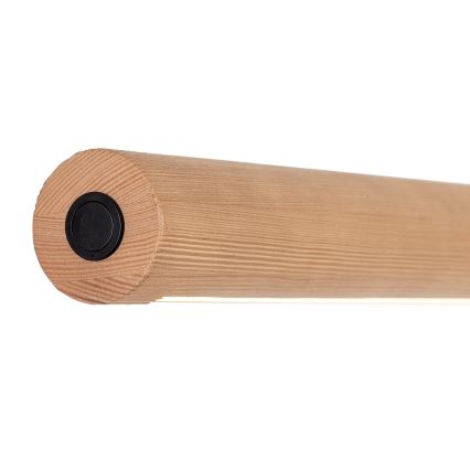 LED Dimbart taklampa GIACINTO LED/30W/230V