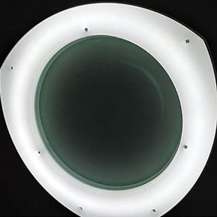 LED Dimbart skrivbordslampa med förstoringsglas och klämma LED/8W/12/230V