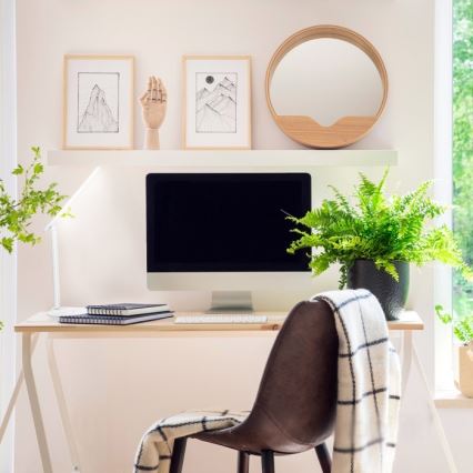 LED Dimbart skrivbordslampa NOBLITE N LED/7W/230V 3000/4000/6500K vit