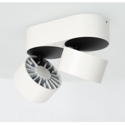 LED Dimbar spotlight LAHTI MINI 2xLED/9W/230V 3000K CRI 90 vit