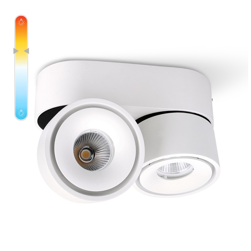 LED Dimbar spotlight LAHTI MINI 2xLED/9W/230V 3000K CRI 90 vit