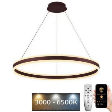 LED Dimbar taklampa LED/110W/230V 3000-6500K Ø 80 cm + fjärrkontroll