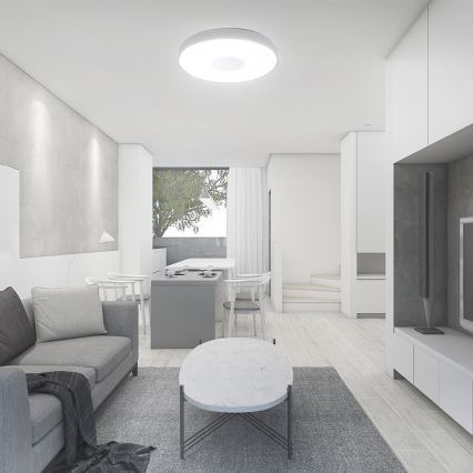 LED Dimbar taklampa LED/40W/230V 3000-6500K 39 cm vit + fjärrkontroll