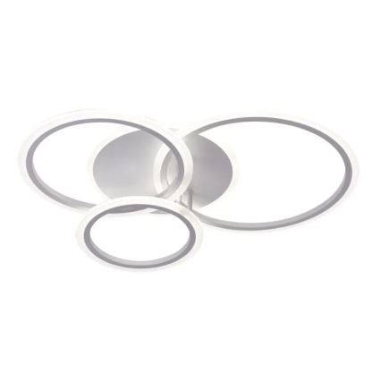 LED Dimbart takmonterat takarmatur LED/40W/230V 3000-6500K vit + fjärrkontroll