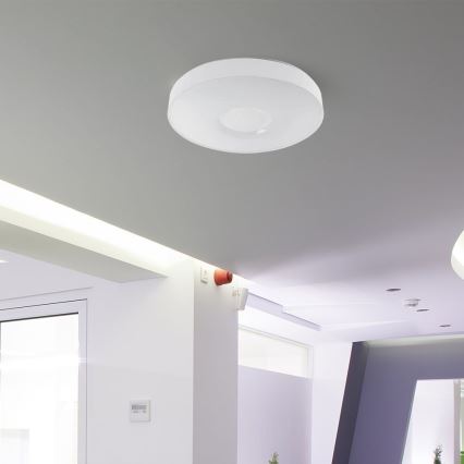 LED Dimbar taklampa LED/60W/230V 3000-6500K 49,5 cm vit + fjärrkontroll