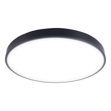 LED Dimbar taklampa LED/60W/230V 3000-6500K diameter 60 cm svart + fjärrkontroll