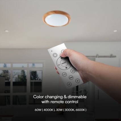 LED Dimbar taklampa LED/60W/230V 3000-6500K diameter 49 cm + fjärrkontroll
