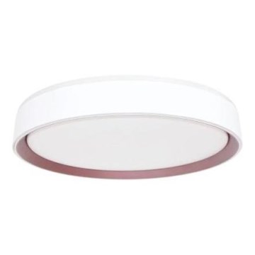 LED Dimbar taklampa med röststyrning OPAL LED/48W/230V 2700-6500K vit + fjärrkontroll