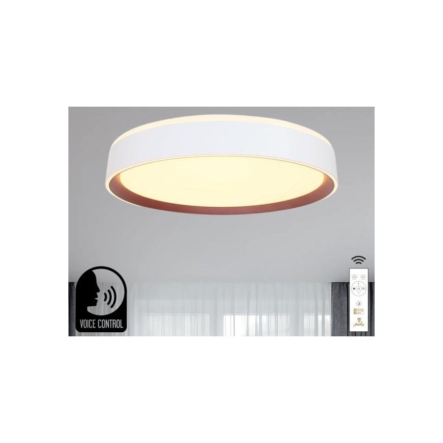LED Dimbar taklampa med röststyrning OPAL LED/48W/230V 2700-6500K vit + fjärrkontroll