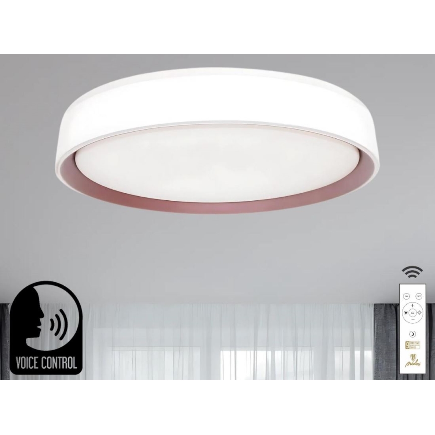 LED Dimbar taklampa med röststyrning OPAL LED/48W/230V 2700-6500K vit + fjärrkontroll