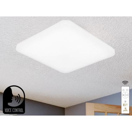 LED Dimbar taklampa med röststyrning OPAL LED/48W/230V 2700-6500K vit + fjärrkontroll