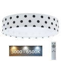 LED Dimbar taklampa SMART GALAXY KIDS LED/24W/230V 3000-6500K Prickar vit/svart + fjärrkontroll