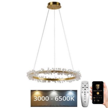 LED Dimbart kristallkrona på kabel LED/40W/230V 3000-6500K guld + fjärrkontroll