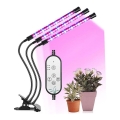 LED Dimbart skrivbordslampa med klämma för växtodling LED/12W/5V