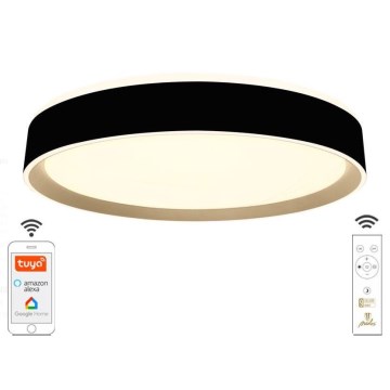 LED Dimbart takarmatur i tak 48W 230V 2700-6500K Wi-Fi Tuya + fjärrkontroll