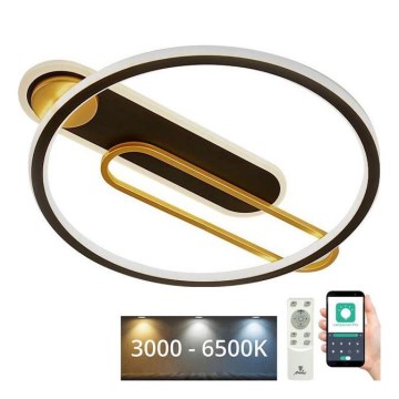 LED Dimbart takarmatur i tak 60W/230V 3000-6500K svart + fjärrkontroll