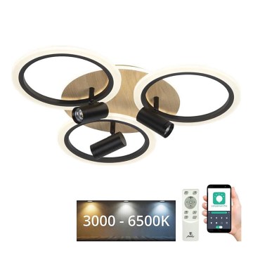 LED Dimbart takarmatur i tak 70W/230V 3000-6500K svart/brun + fjärrkontroll