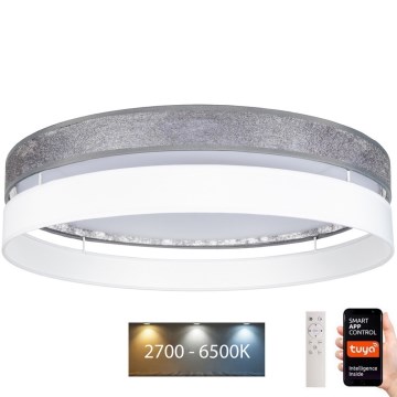 LED Dimbart taklamp LIMA LED/36W/230V 2700-6500K Wi-Fi Tuya + fjärrkontroll silver/vit