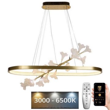 LED Dimbart taklampa LED/55W/230V 3000-6500K + fjärrkontroll