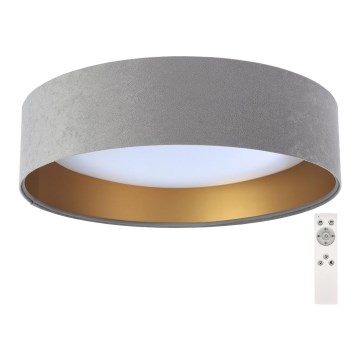 LED Dimbart taklampa SMART GALAXY LED/24W/230V Ø 44 cm grå/guld 3000-6500K + fjärrkontroll