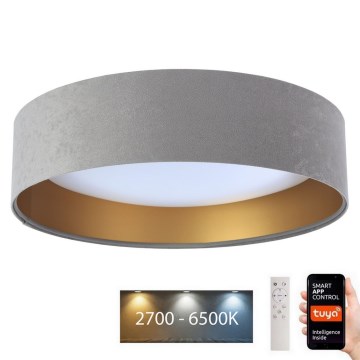 LED Dimbart taklampa SMART GALAXY LED/36W/230V Ø 55 cm 2700-6500K Wi-Fi Tuya grå/guld + fjärrkontroll