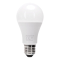 LED-dimmbar glödlampa A60 E27/9W/230V 2700K - Aigostar