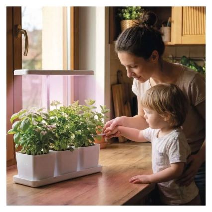 LED-dimmbar inomhuslampa för växtodling GROW LED/7W/5V