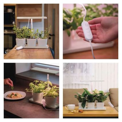 LED-dimmbar inomhuslampa för växtodling GROW LED/7W/5V