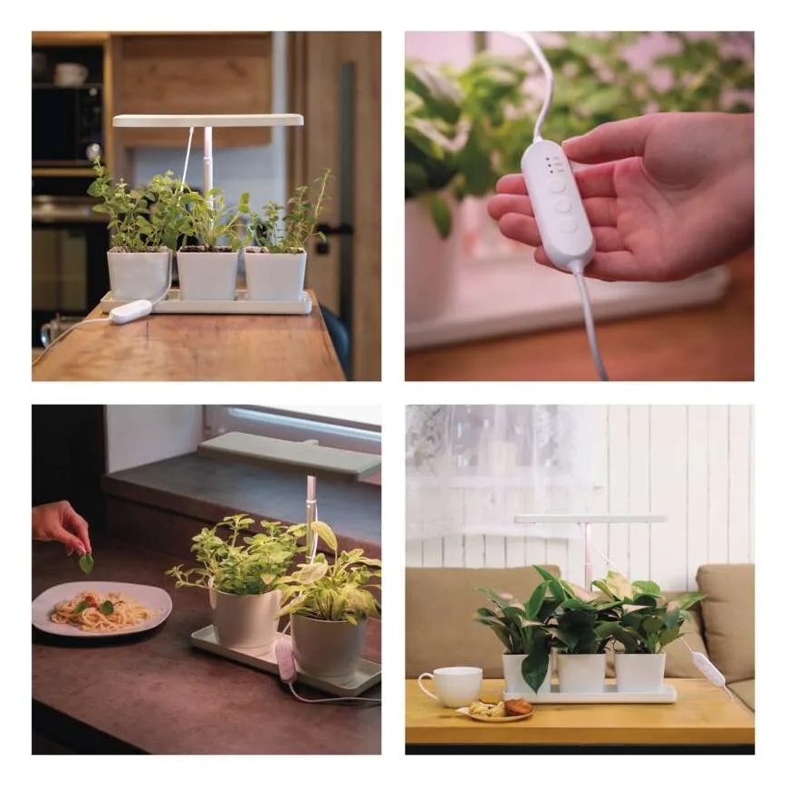 LED-dimmbar inomhuslampa för växtodling GROW LED/7W/5V