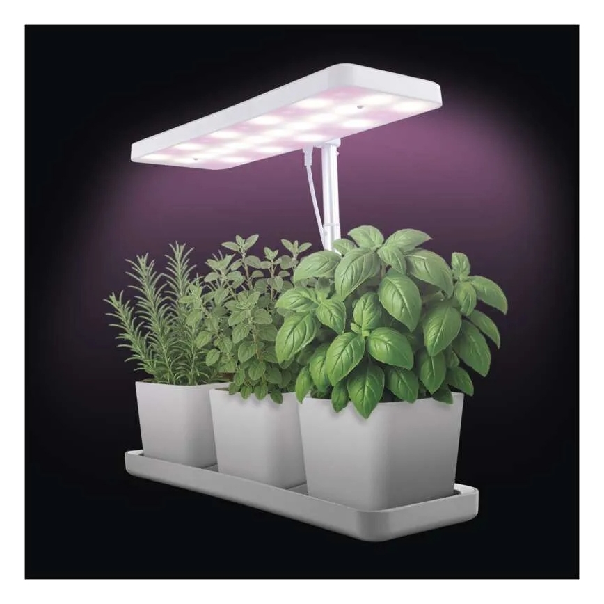 LED-dimmbar inomhuslampa för växtodling GROW LED/7W/5V