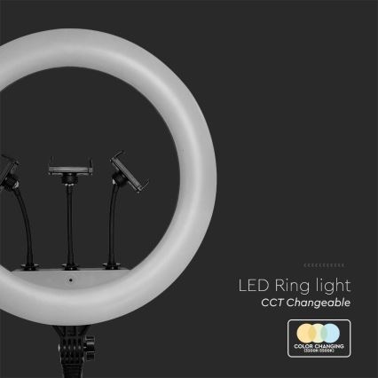 Dimbar LED-lampa med stativ och hållare för vloggning, LED/55W/230V, CRI 90 + fjärrkontroll