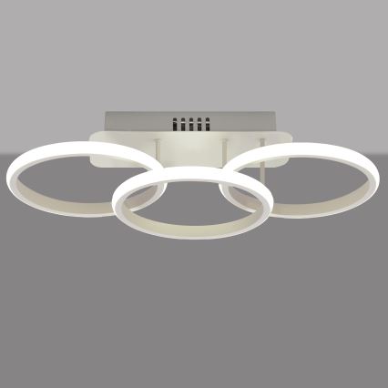 LED fastsatt Ljuskrona  BARI LED/30W/230V vit 