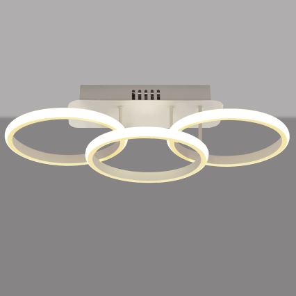 LED fastsatt Ljuskrona  BARI LED/30W/230V vit 