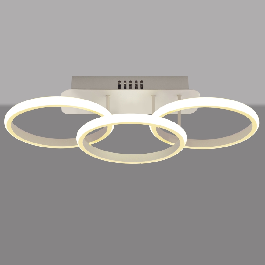 LED fastsatt Ljuskrona  BARI LED/30W/230V vit 