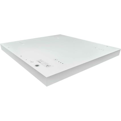 LED fäst panel ILLY LED/36W/230V