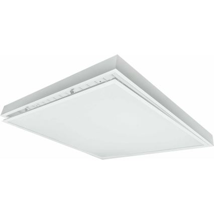LED fäst panel ILLY LED/36W/230V