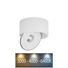 LED Flexibel spotlight LED/20W/230V 3000/4000/6400K CRI 90 vit