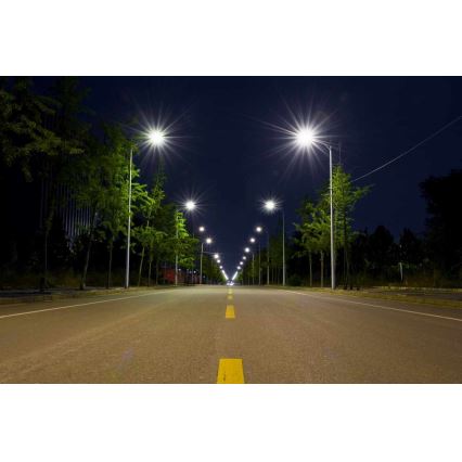 LED Gatubelysning BOSTON LED/35W/230V IP65