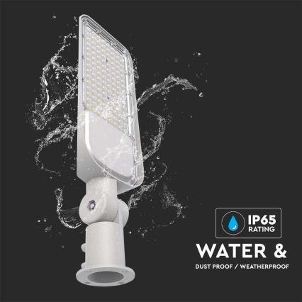 LED Gatubelysning SAMSUNG CHIP LED/100W/230V 6500K IP65 grå