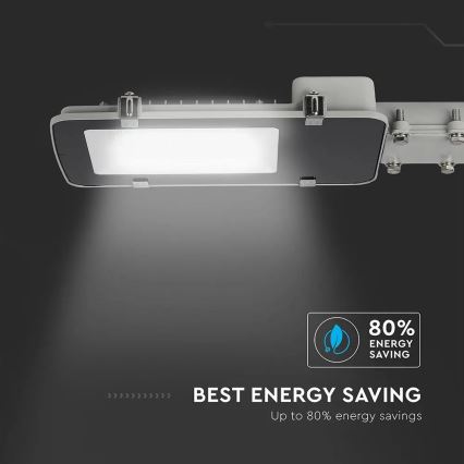 LED Gatubelysning SAMSUNG CHIP LED/30W/230V 4000K IP65