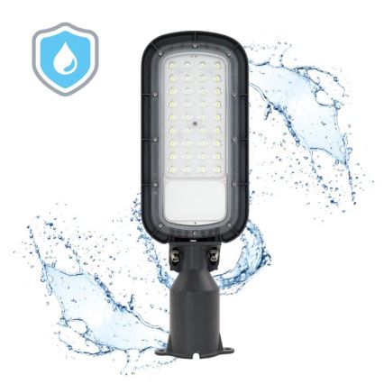 LED gatulampa BRELUXO LED/50W/230V 4000K IP65