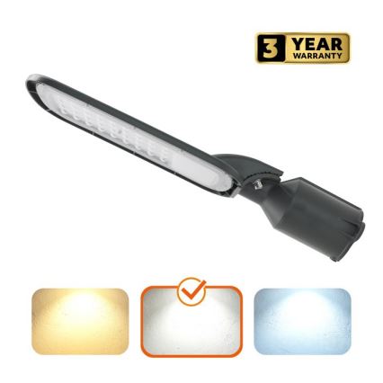 LED gatulampa BRELUXO LED/50W/230V 4000K IP65